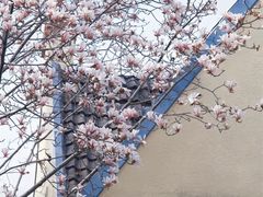 -颐和路民国时期公馆风貌区