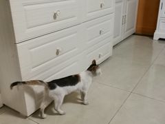 -深圳市人民医院(留医部)