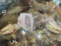 -大锅强·蒸海鲜青岛菜(吾悦广场店)