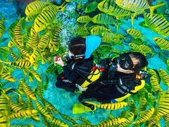 -海合安天津极地海洋公园