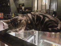 -咖法森林·咖啡  酒吧(天河店)