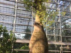 -南山植物园