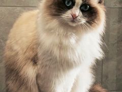 -芊浔家的蛋糕王国(升龙店)