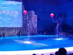 -华夏文旅海洋公园