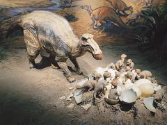 -自贡恐龙博物馆