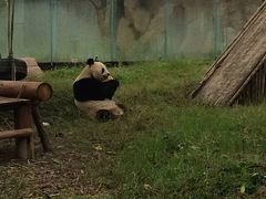 -仙芝竹尖生态园旅游景区