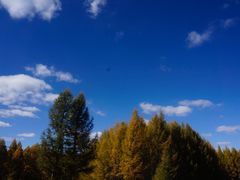 -塞罕坝国家级自然保护区