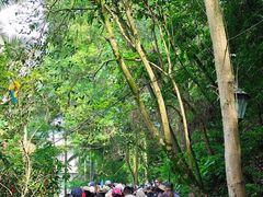 -乐山大佛风景名胜区乌尤寺南门-售票点