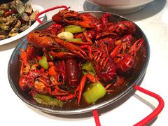 -杨氏青龙虾·羊蝎子(金盛路总店)