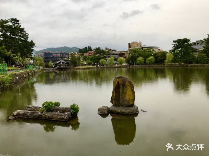 猿泽池图片 - 第8张