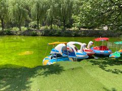 -沕沕水生态风景区