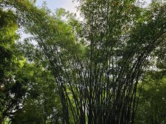 -成都杜甫草堂博物馆