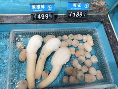 -宁海食府(总店·天一阁望京店)