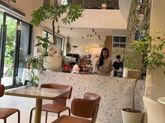 -花神·轻食简餐·咖啡馆·花卉绿植(荷兰花卉小镇店)
