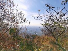 -紫金山山顶公园