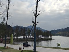 -千年银杏谷文化旅游区