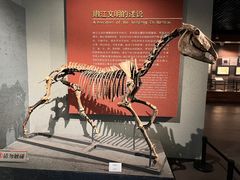 -齐齐哈尔市博物馆