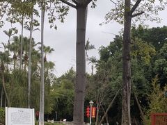 -集美鳌园景区