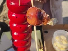 -蘇锦宴·淮扬菜烤鸭·小院(三元桥霄云路店)