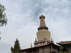 -张掖大佛寺景区