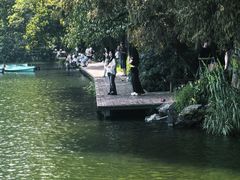 -西湖游船