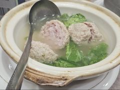 -丁老爷子苏香圆