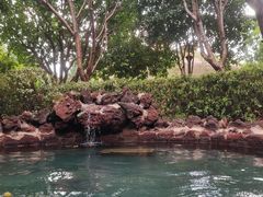 -苏州湾·王焰温泉