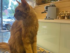 -平行世界·猫咖(首经贸店)