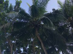 -石梅湾艾美度假酒店