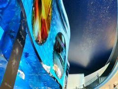 -迪拜水族馆及水下动物园