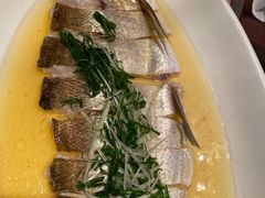 -同庆楼(滨湖万达广场店)