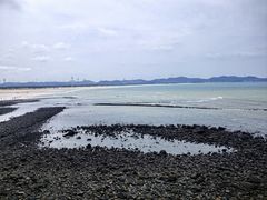 -长江澳风力发电景观区