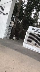 点击看大图 -IN STYLE·全国形象店