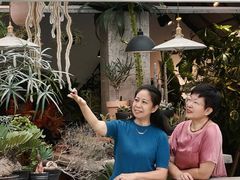 -自由生长植物工作室(深港花卉中心店)