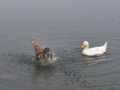 -太阳宫公园
