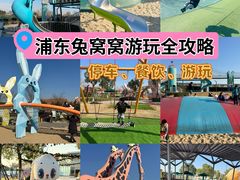 -季高兔窝窝亲子园(上海薰衣草公园店)