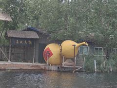 -白洋淀风景区