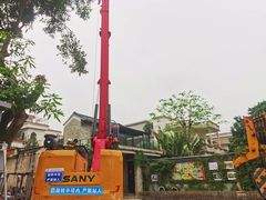 -碧江金楼