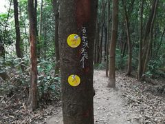 -黄埔油麻山森林公园