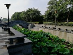 -蠡湖大桥公园