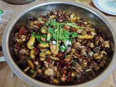 -食神又名厕所兔