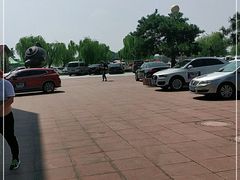 -太阳部落