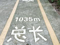 -中山公园(石岐街道)