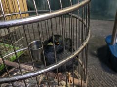 -伊隆斋(什刹海店)