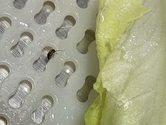 -正能量脆肉鲩火锅