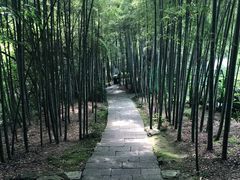 -杭州黄龙洞