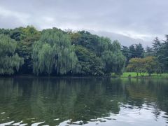 -上海共青森林公园