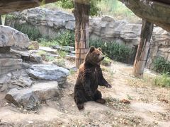 -北京动物园