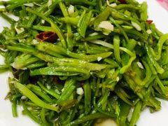 -泸沽肴(泸沽湖大洛水村农村信用社旁店)