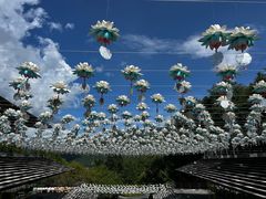 -腾冲云峰山